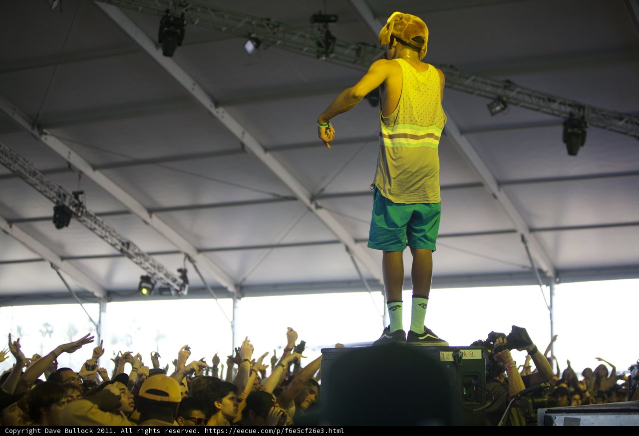 Skateboarder in the Coachella 2011 Crowd