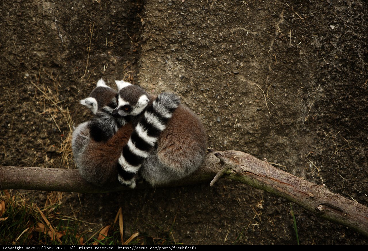 Tender Touch at Oakland Zoo