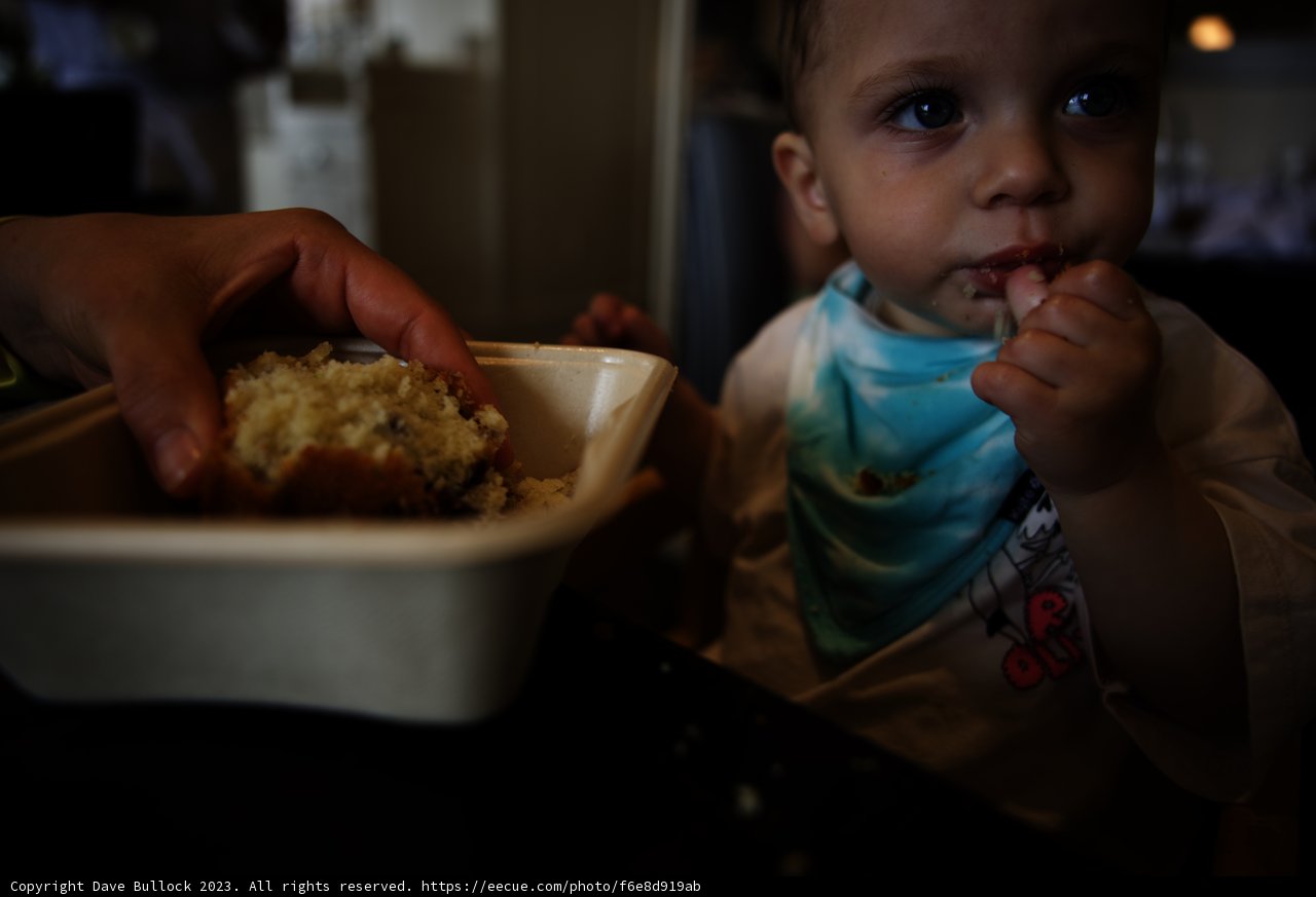 Baby's First Cake Experience