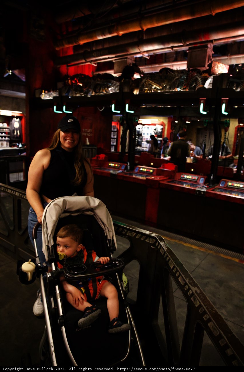 Magical Moments at Disneyland