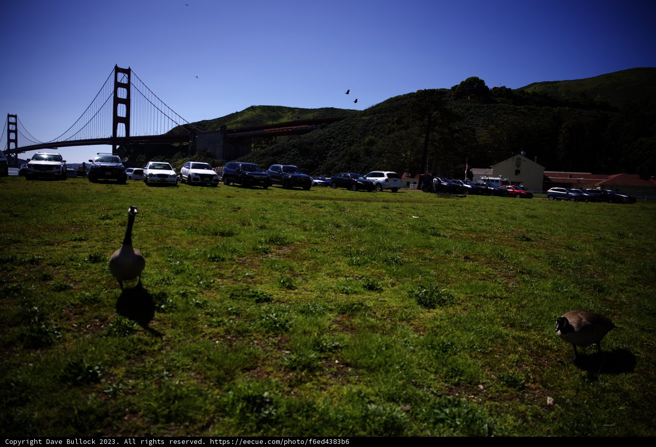 Serene Gathering at Marin Headlands