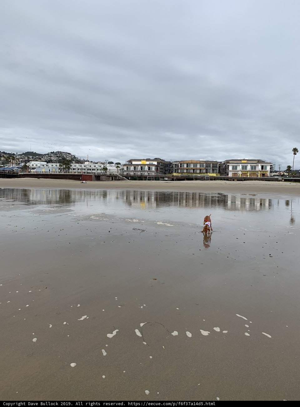 Lonely Fire Hydrant on the Beach