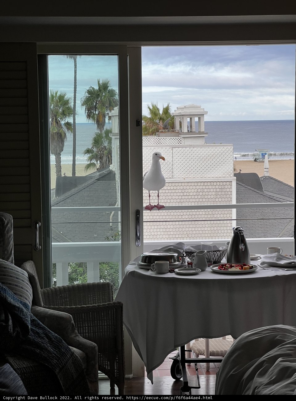 A Serene Scene at the Santa Monica Dining Room