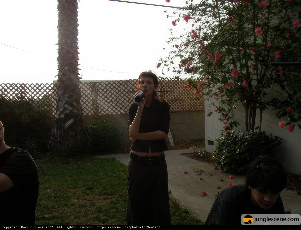 Backyard Performance