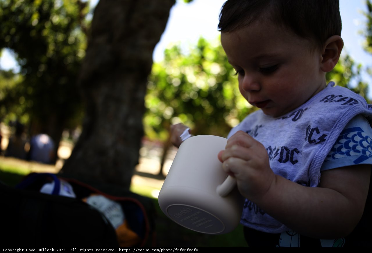 A Tiny Hand, A Big Adventure at the California Academy of Sciences