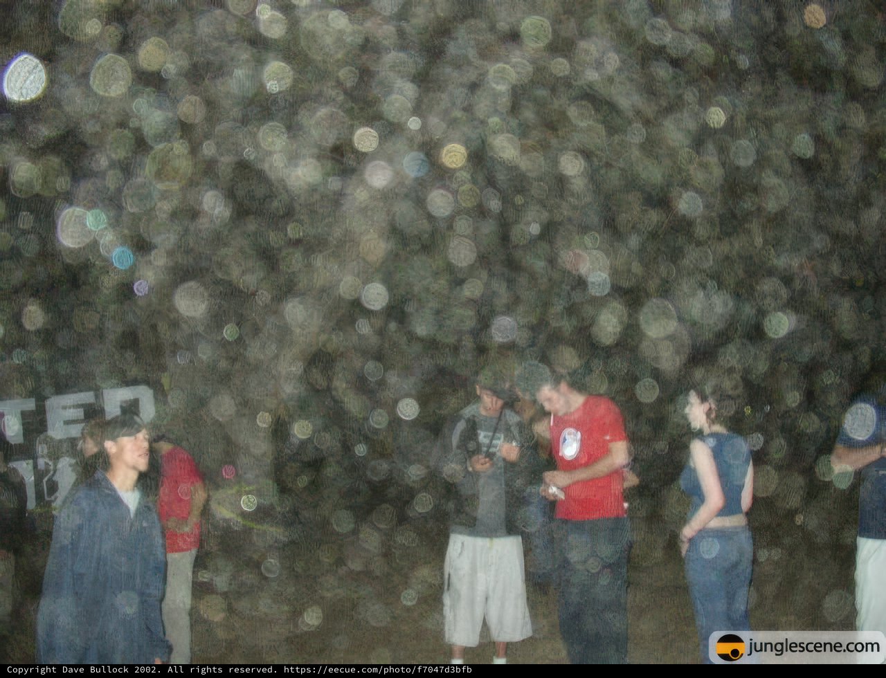 Nighttime Gathering