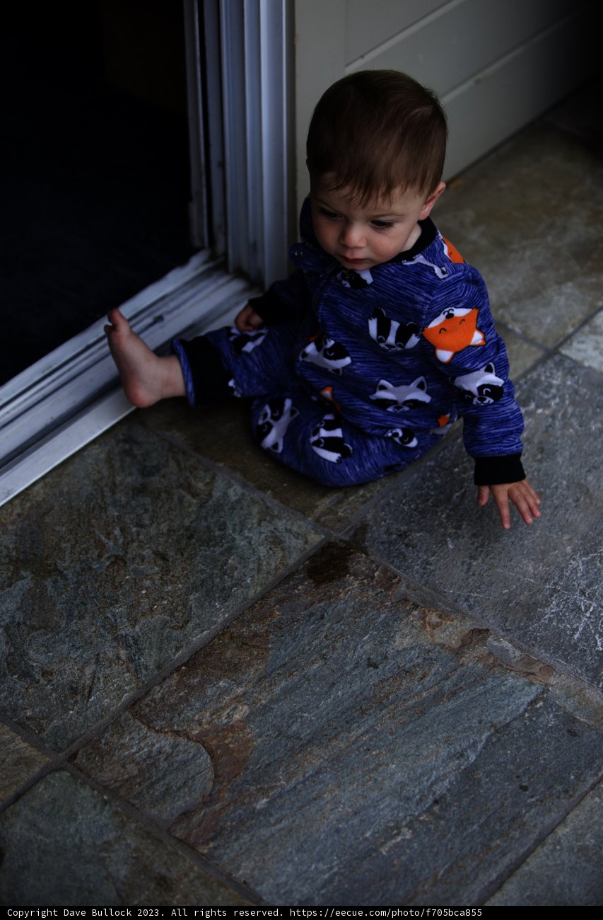 Little Explorer in Carmel Valley Ranch