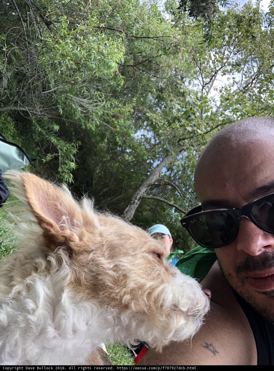 Man and Dog in Sunglasses