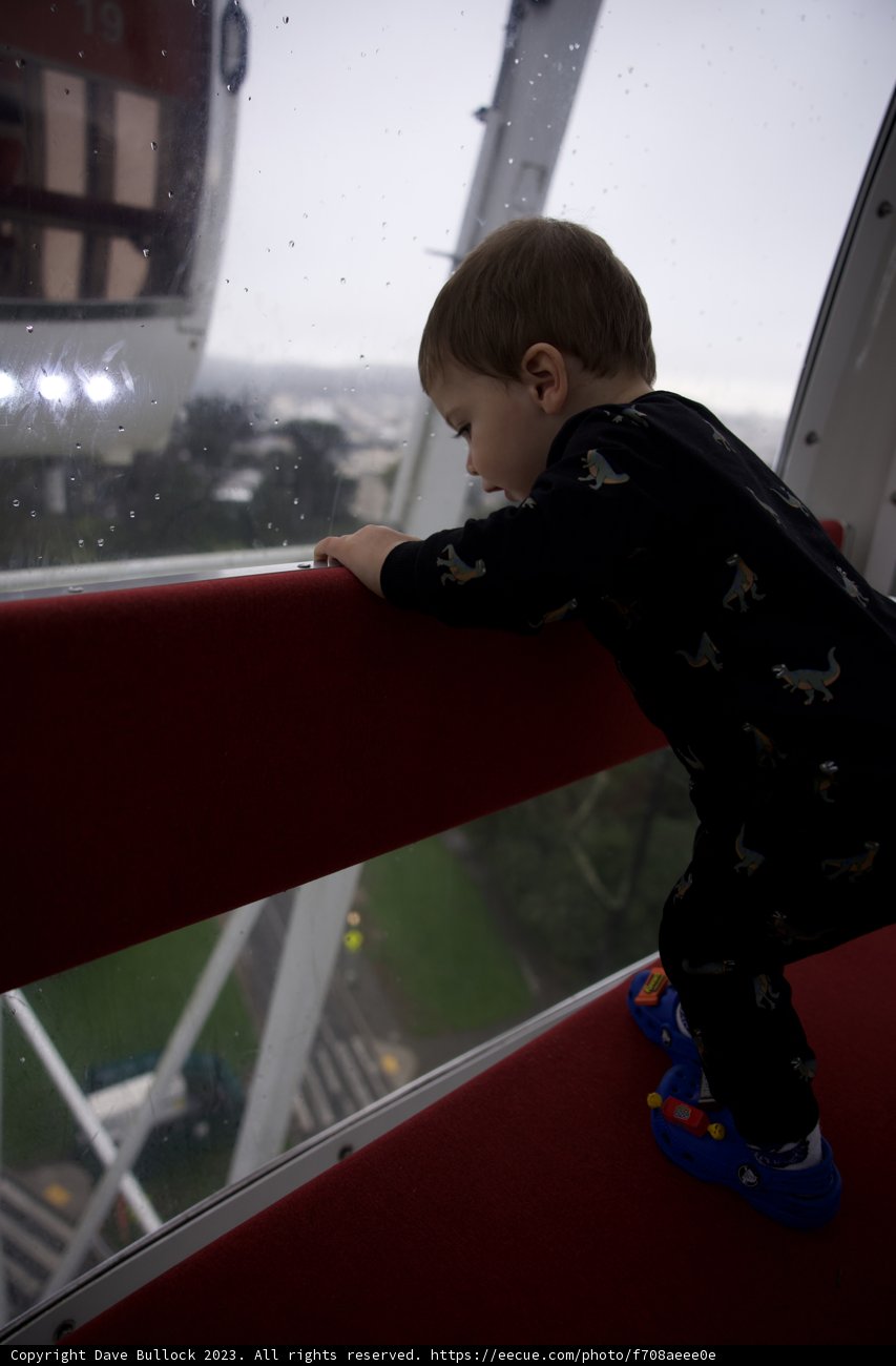Adventures of Little Wesley at Golden Gate Park