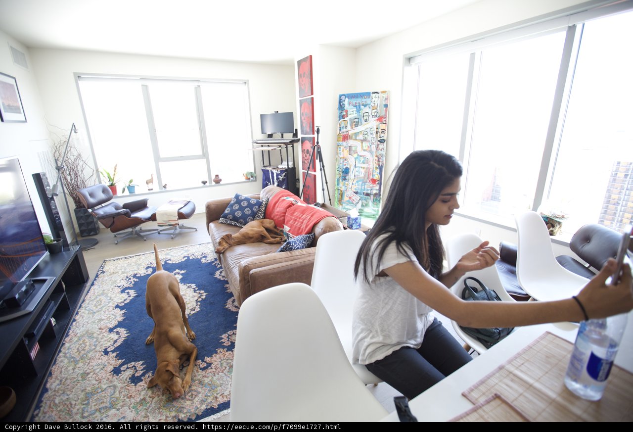 Living Room Companion