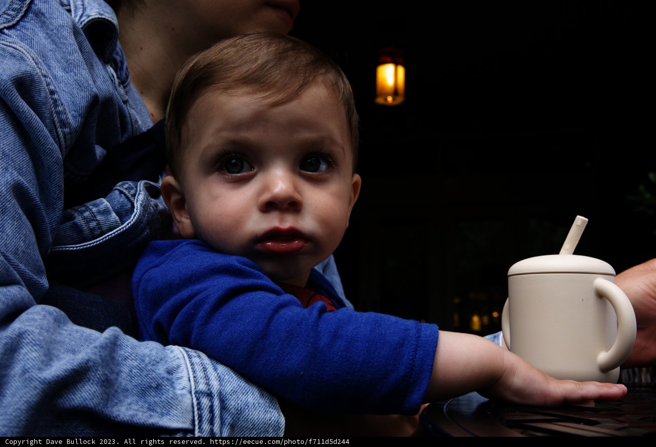 Little Explorer's Disneyland Adventure
