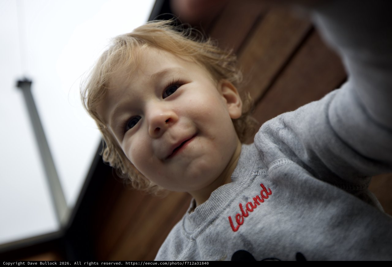Joyful Toddler in Parent's Arms at Home