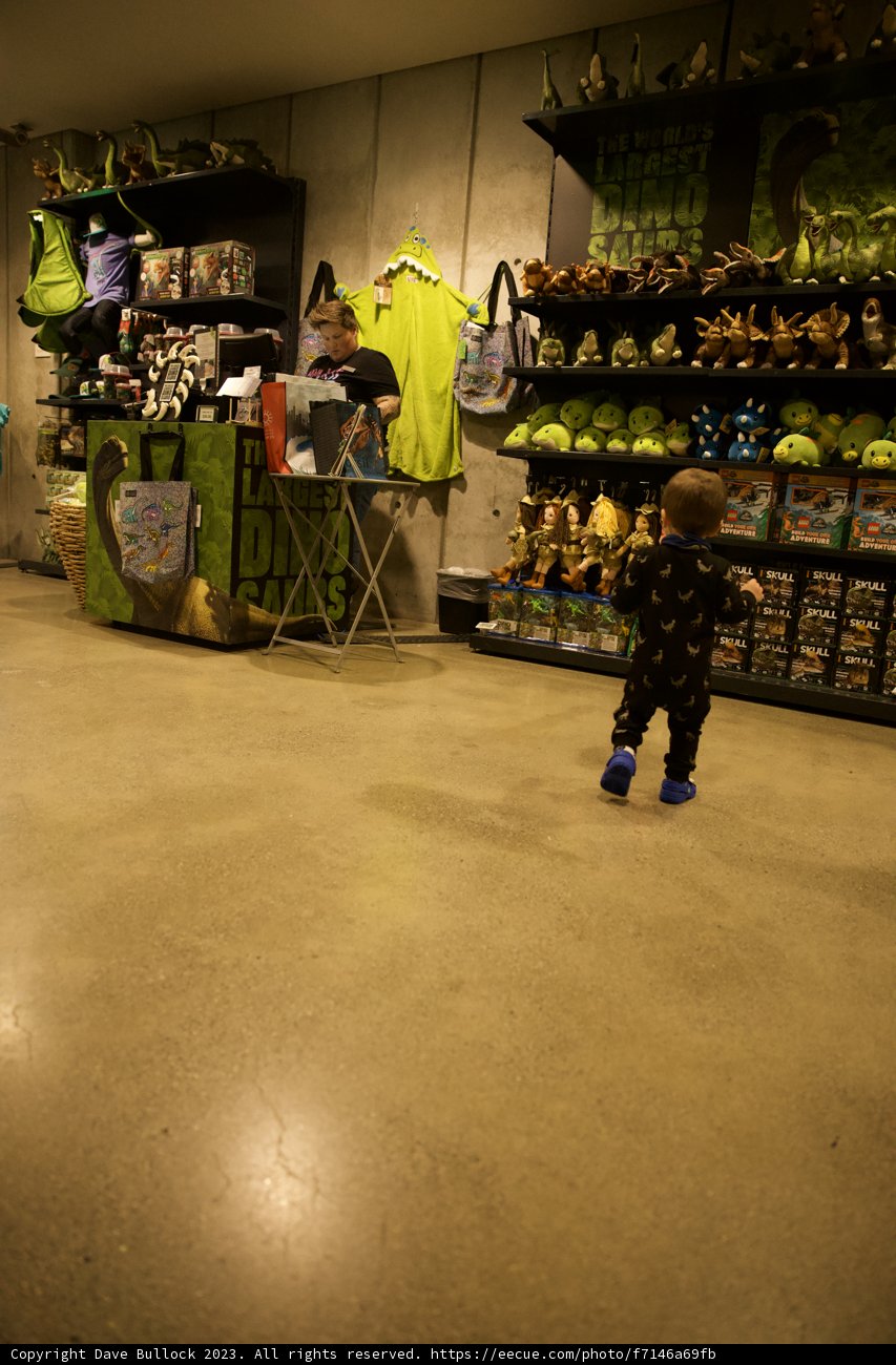 Wesley's Adventure: Toy Store Exploration