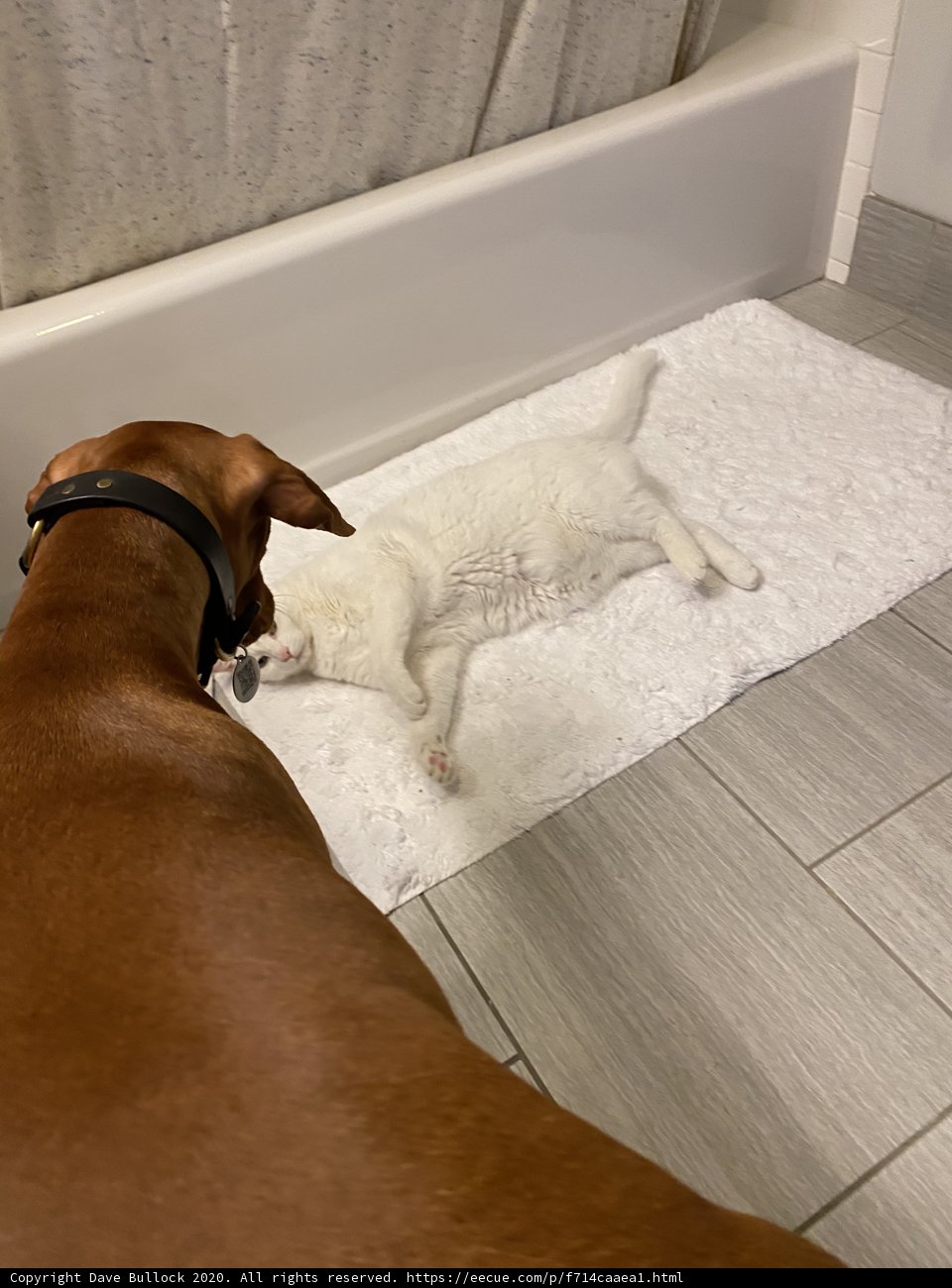 Bathroom Buddies
