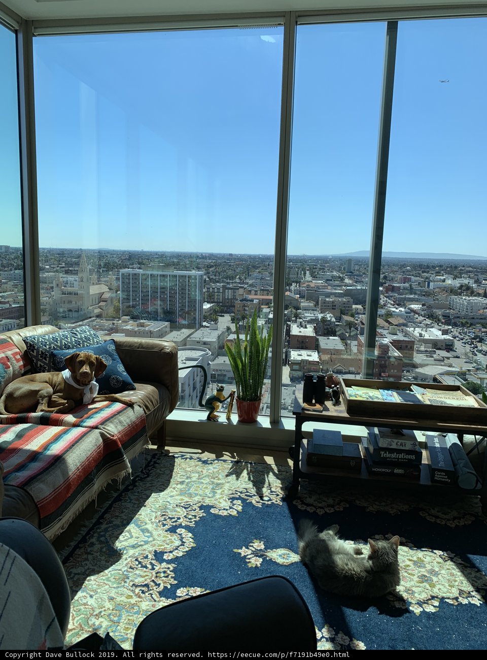 Cozy Living Room Companion