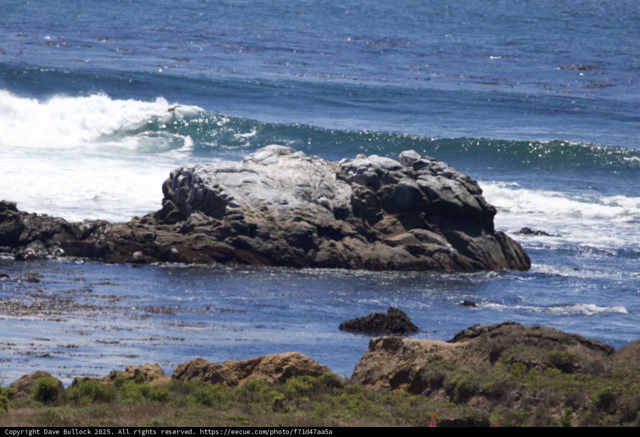 Coastal Serenity in Cayucos