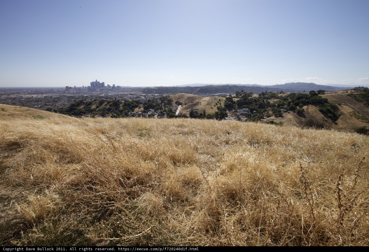 Cityscape from the Dry Grass Hill