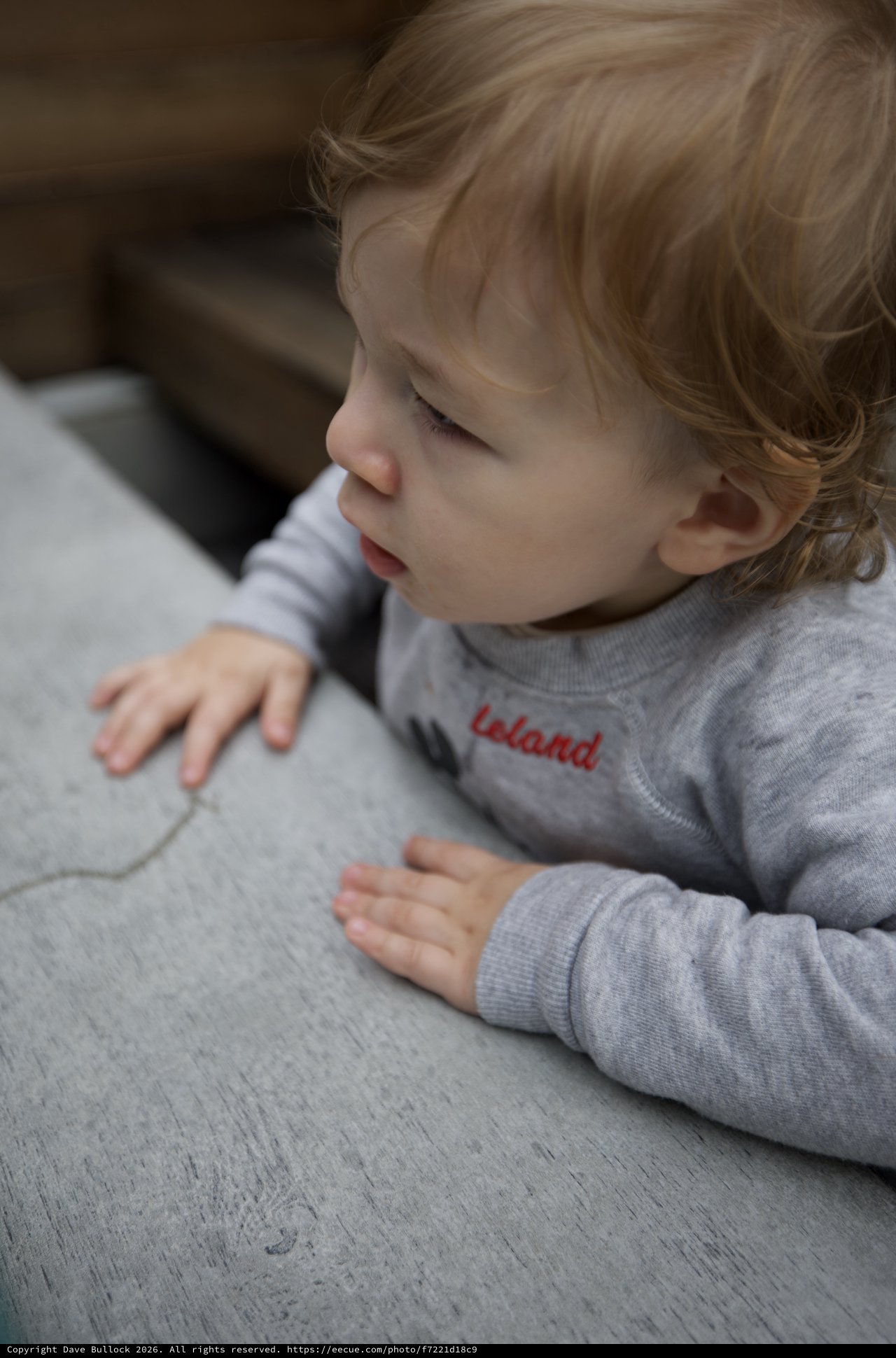 Peaceful Toddler Resting on Gray Couch