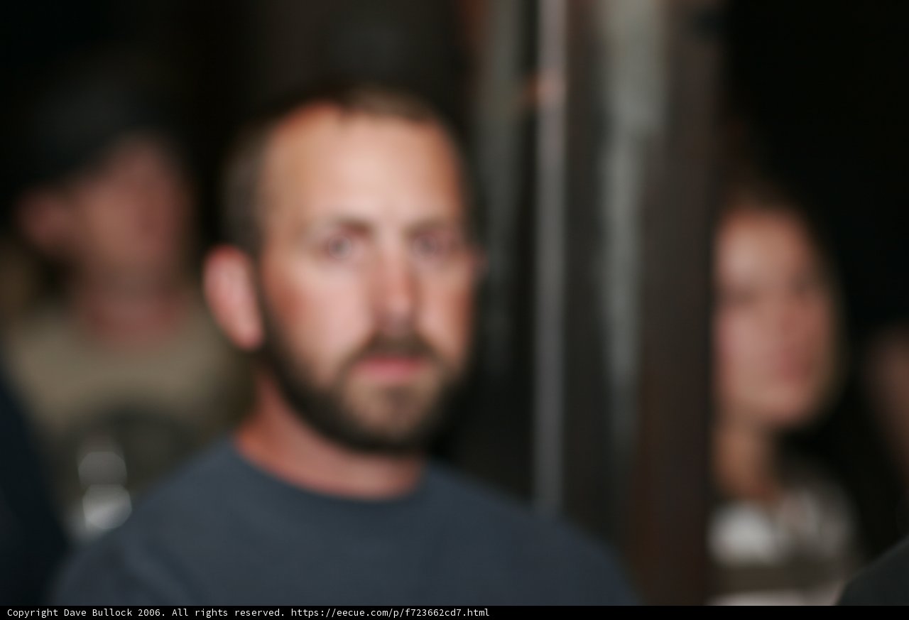 Bearded Man Stares Down Camera