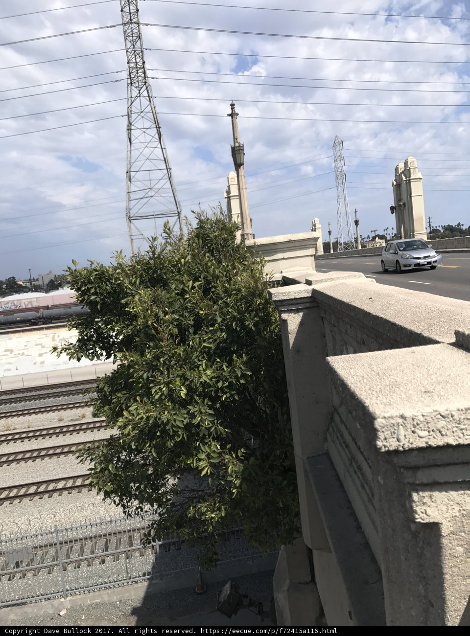 Train Crossing the Bridge