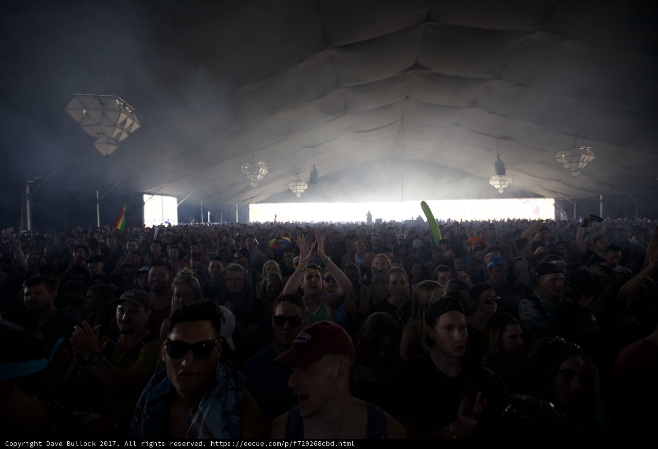 Coachella Crowd Goes Wild