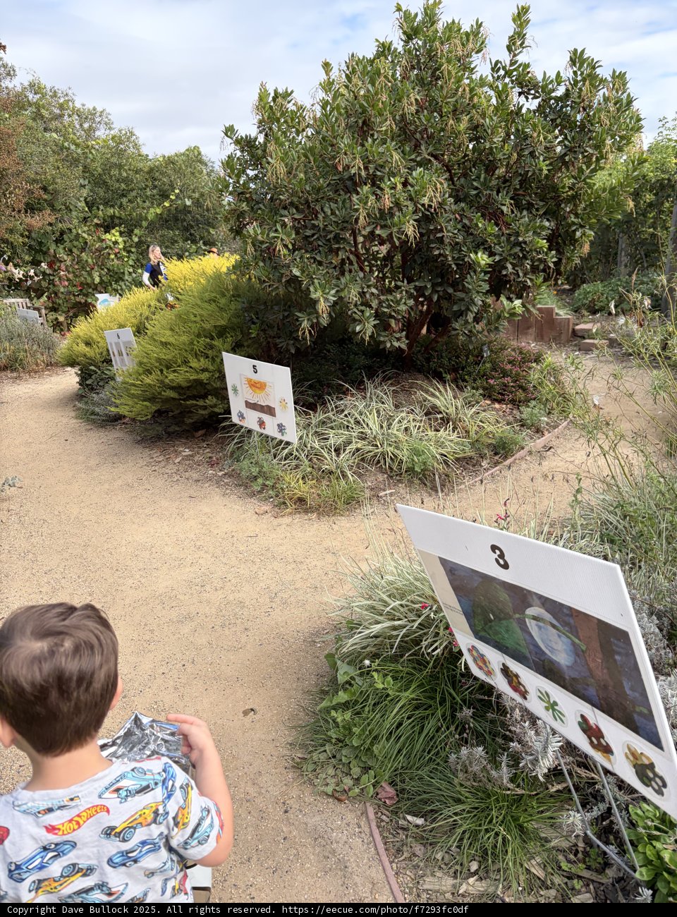 Strolling Through Nature's Art Gallery