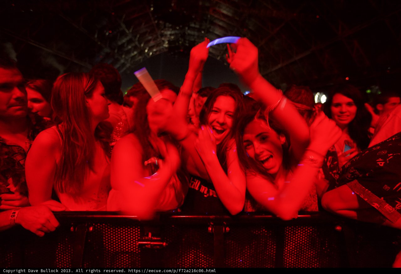 Coachella Crowd Goes Wild