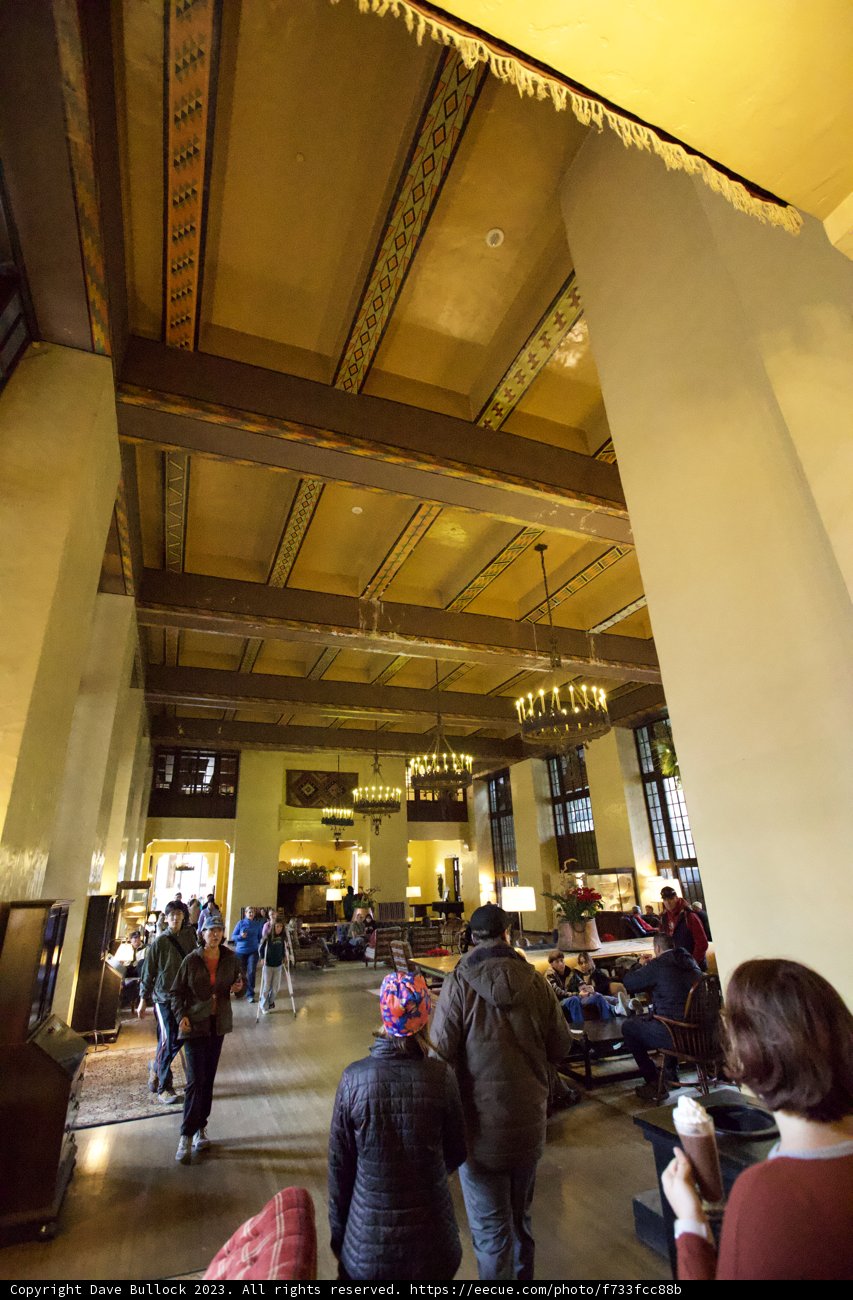 The Vibrant Urban Cafeteria