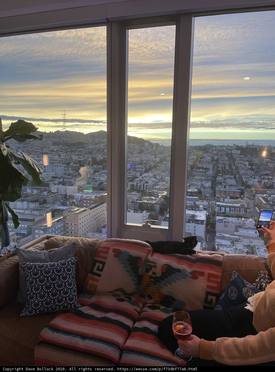 Cozy Evening on the San Francisco Couch