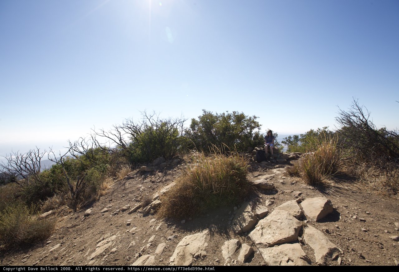 Hiking Through the Wilderness