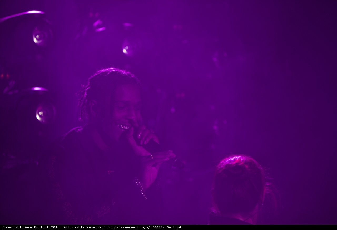 Purple Haze Serenade