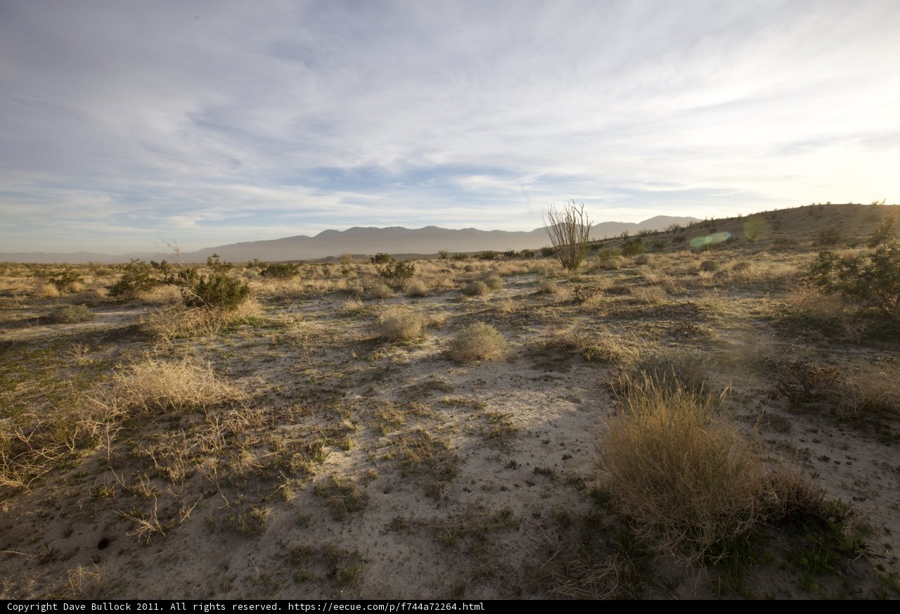 Majestic Mountain in the Desert