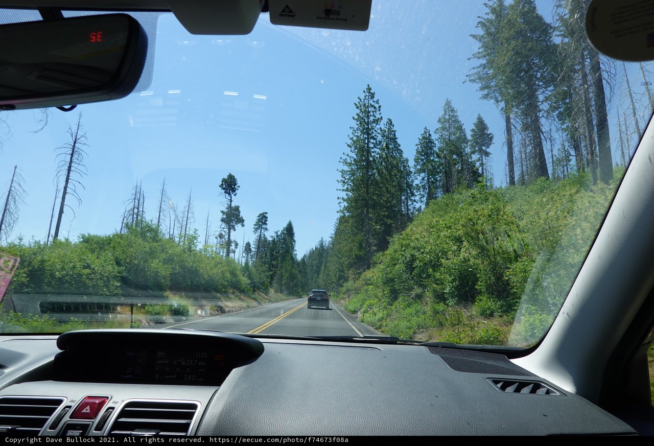 Forest Highway Drive Through Recovering Wilderness