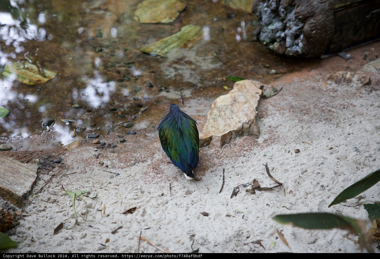 Unseen Marvels of the Animal Kingdom