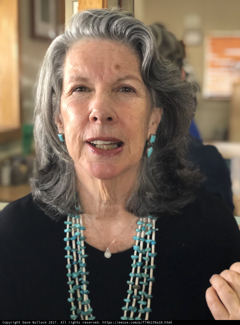 Gray-haired Lady with an Ornament Necklace