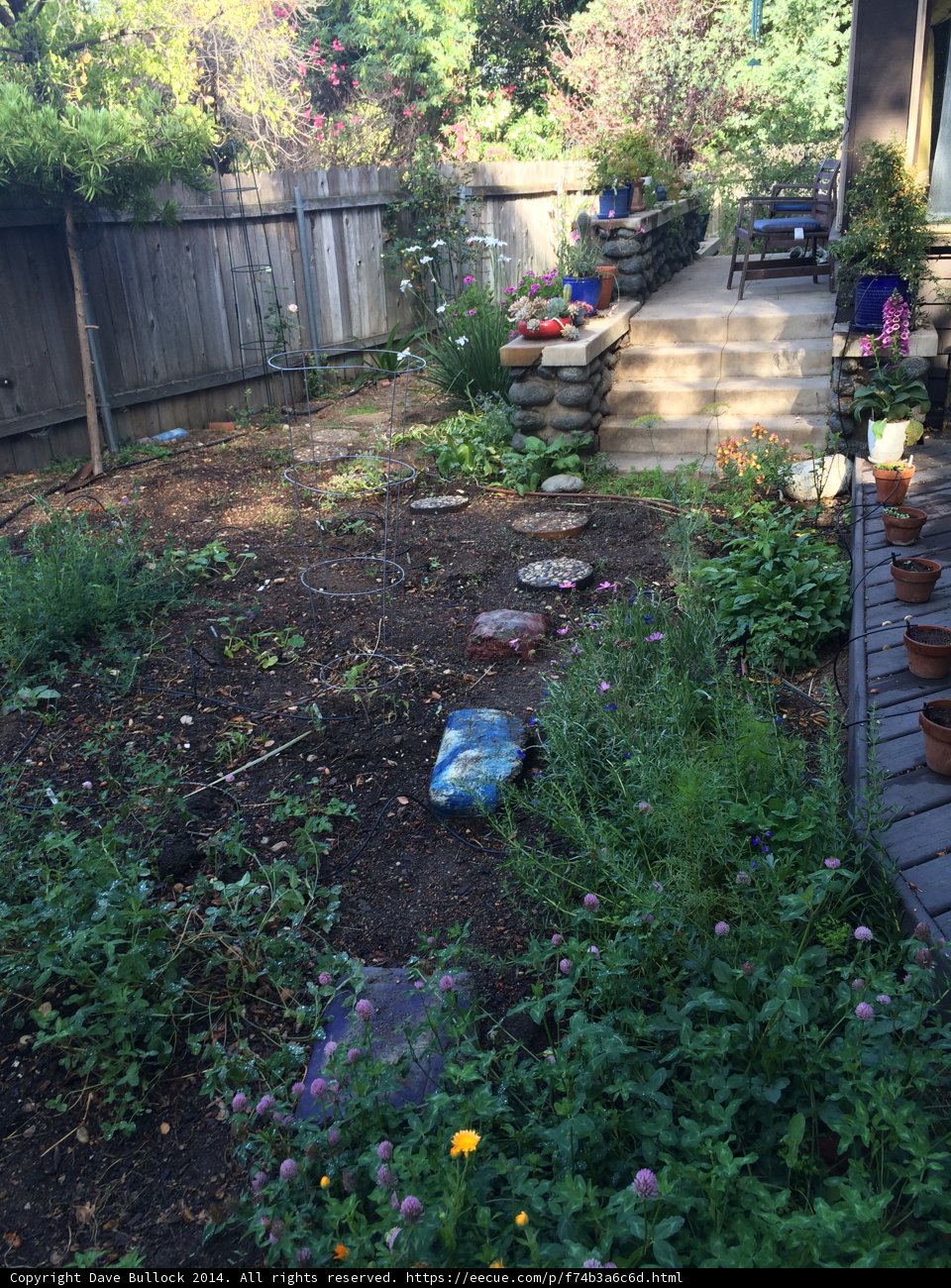 A Colorful Oasis in Altadena