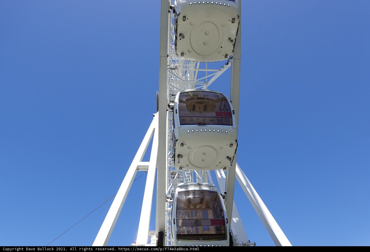 Fun at the Ferris Wheel