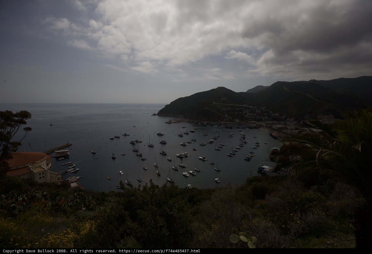 Boats in the Harbor