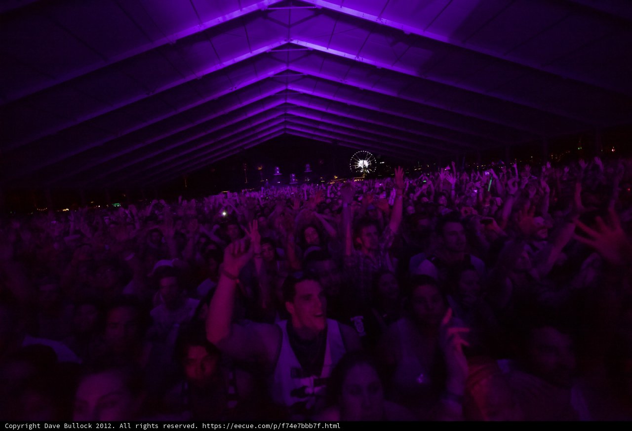 Purple Haze