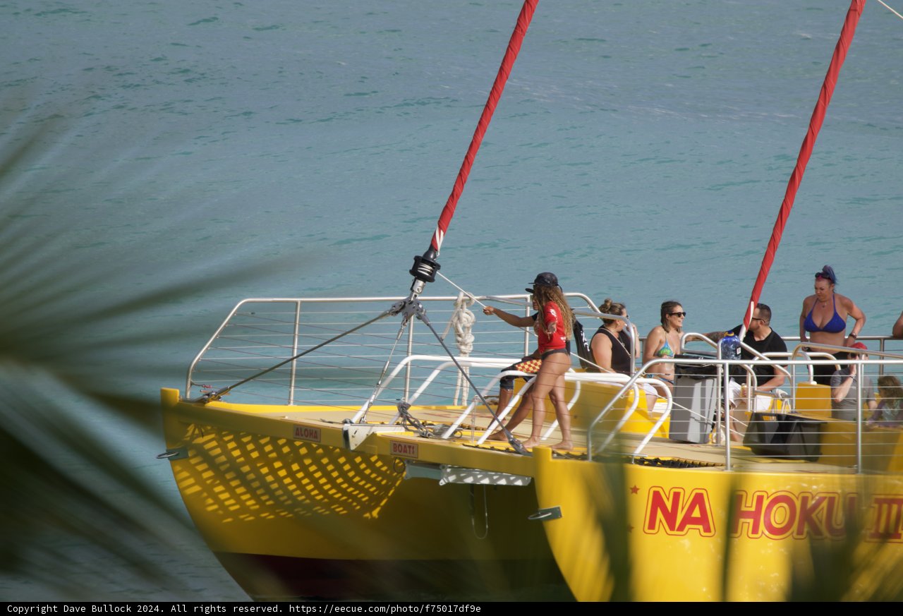 Summer Vibes at Sea: A Hawaiian Sailboat Adventure