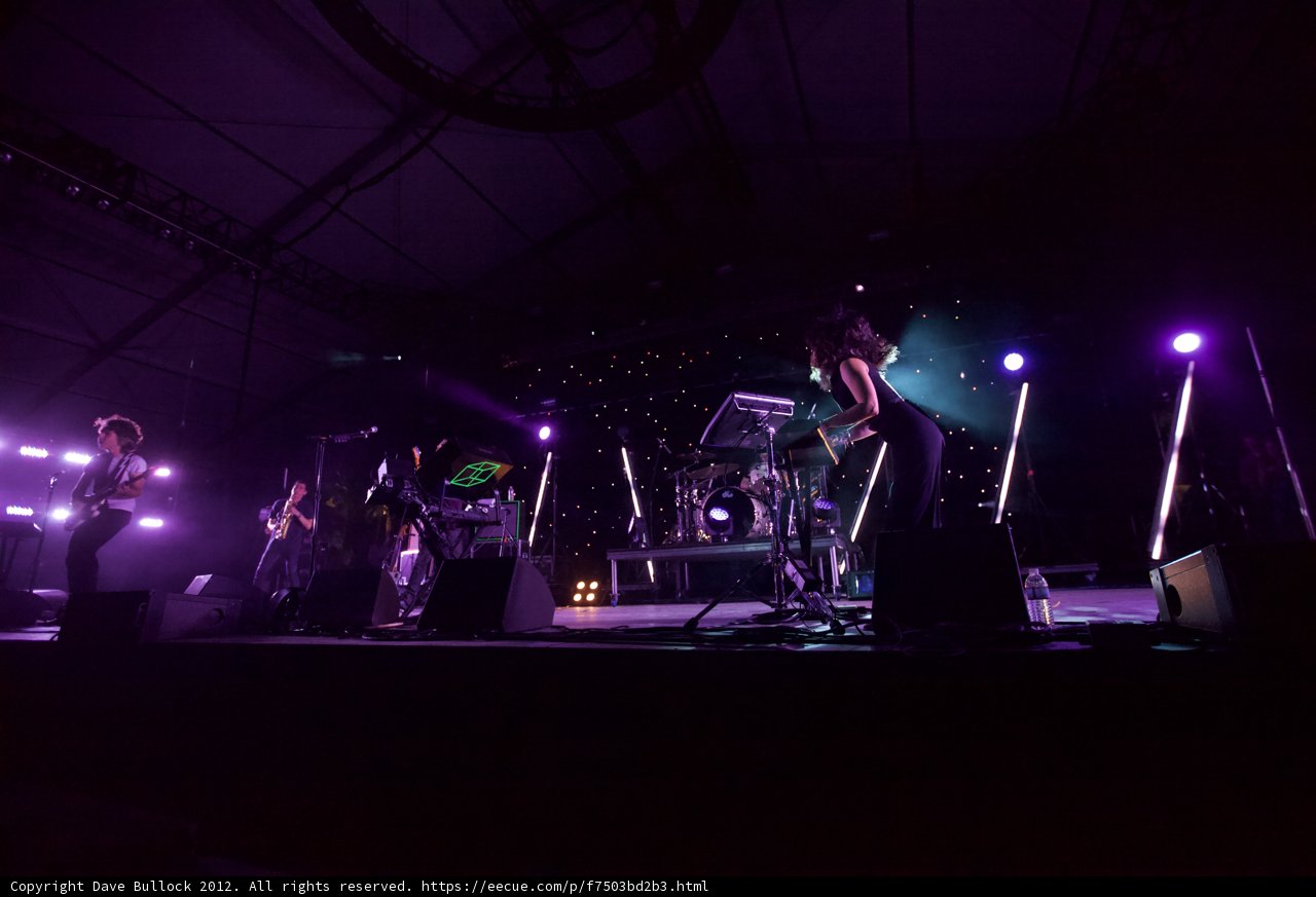 Rocking Out Under the Purple Haze