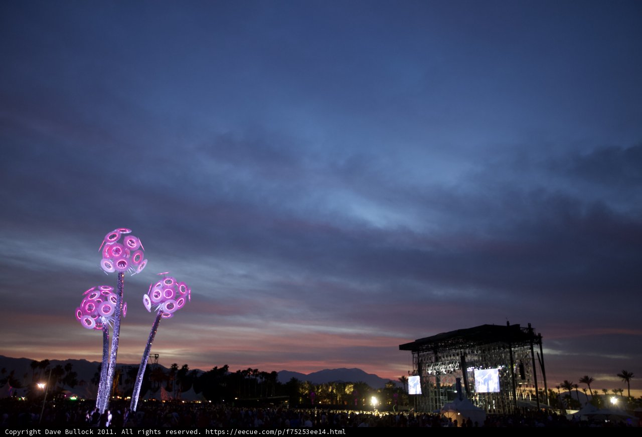 Illuminated Palms