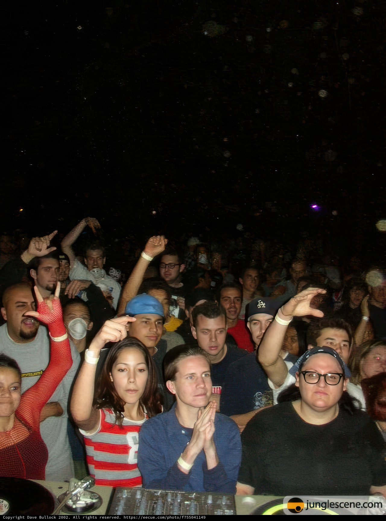 Summer Nightclub Fun