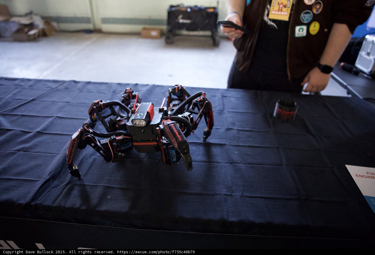 The Future is Now: Robotic Wonders