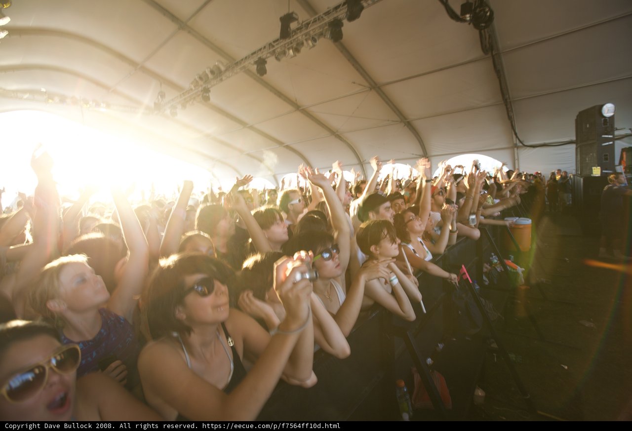 Coachella Crowd Rocking the Night Away
