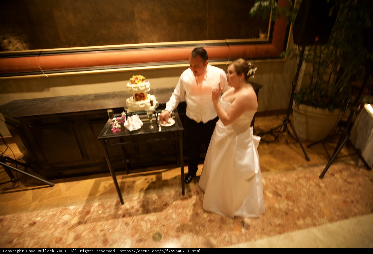 Cutting the Wedding Cake