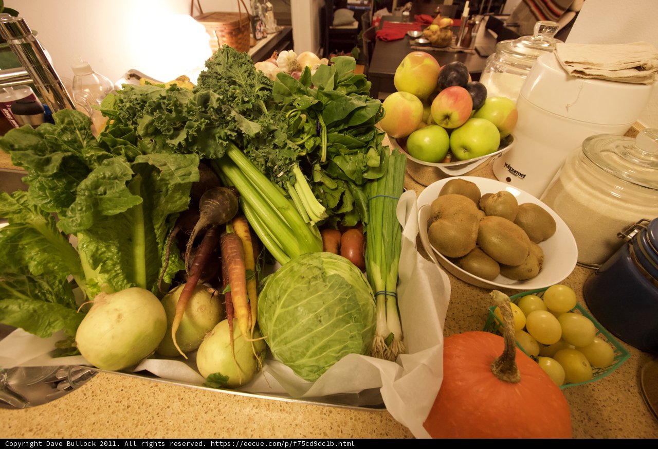 Bountiful Harvest