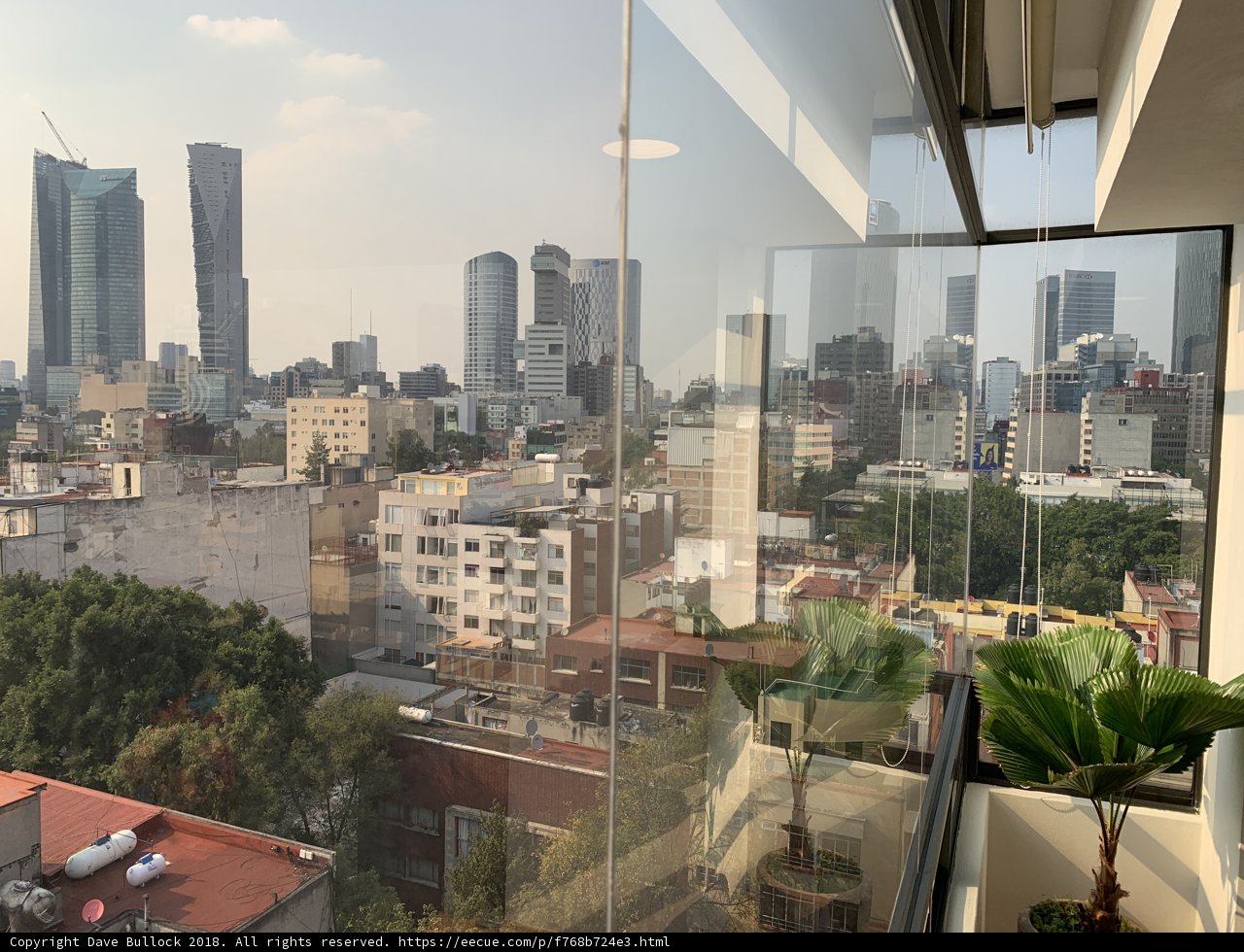 The Urban Jungle from Above