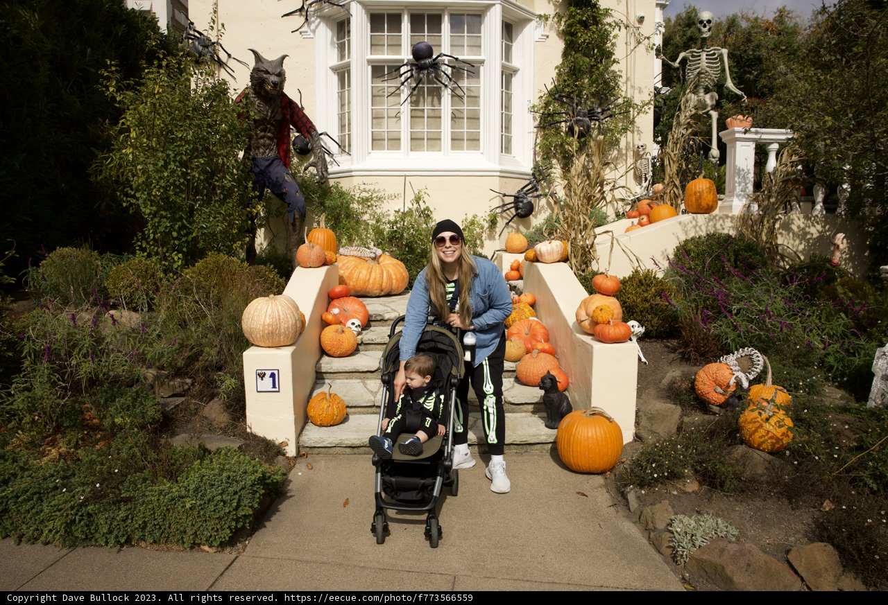 Autumn Bliss in Spooky San Francisco