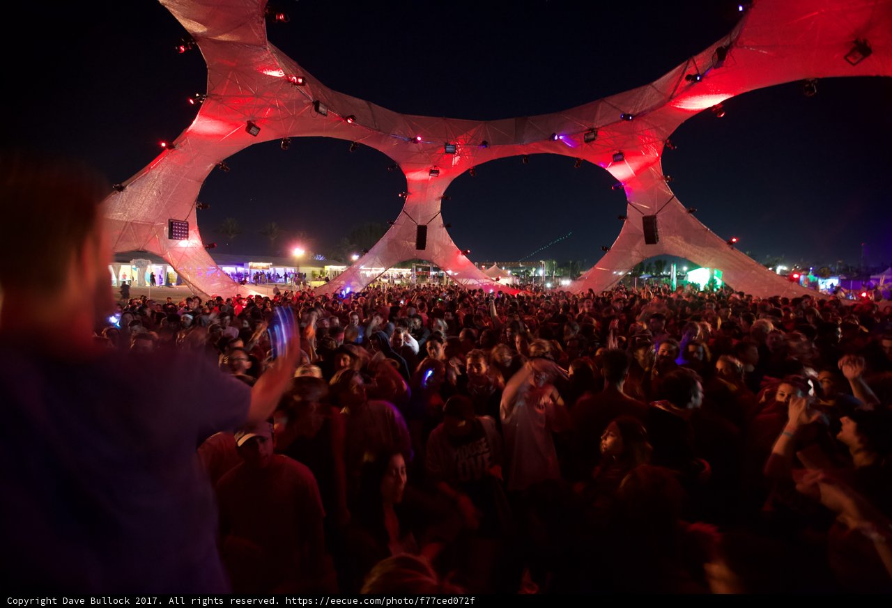 Festival Fever